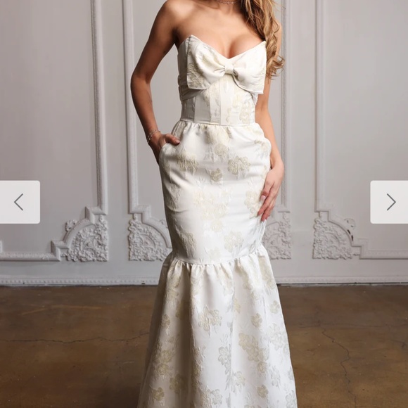 V. Chapman Dresses & Skirts - V Chapman The Beth Dress in Baroque Pearl Size 10